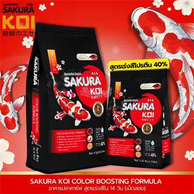 SAKURA KOI COLOR BOOSTING FORMULA อาหารปลาคาร์ฟ สูตรเร่งสีใน 14 วัน (เม็ดลอย) (1.25kg, 4kg)